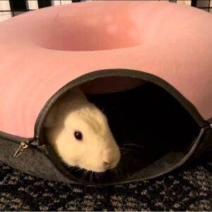 Cat Tunnel Bed,Small Pets Rabbits, Kittens, Puppy